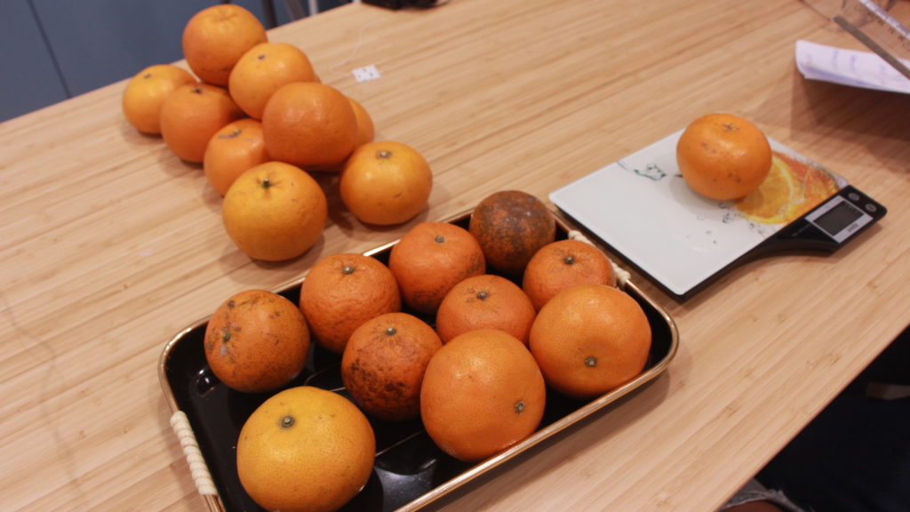 盛其安-橘子實驗